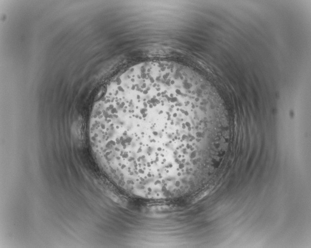 X0000059850228200511181546