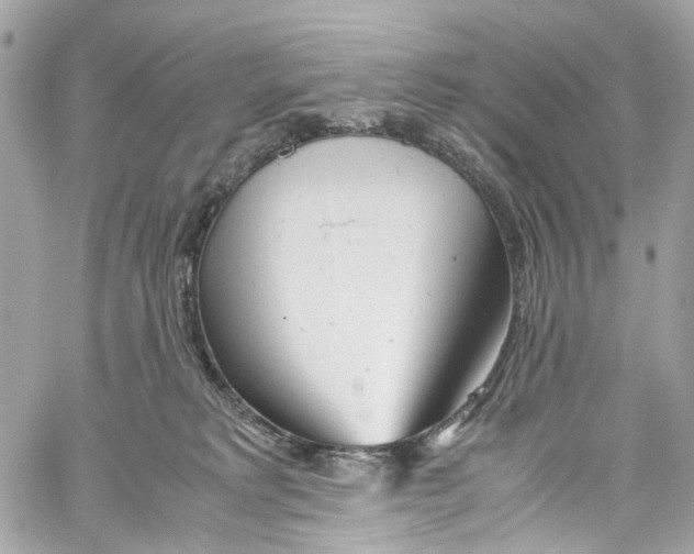 X0000059850229200511181546