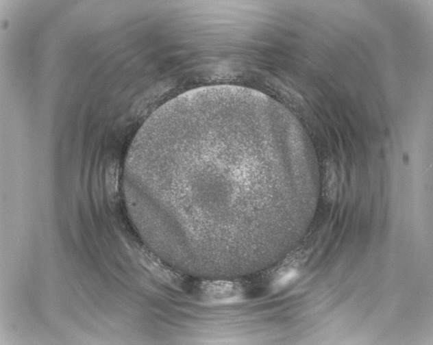 X0000059850230200511181546