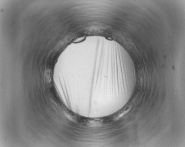 X0000059850232200511181546