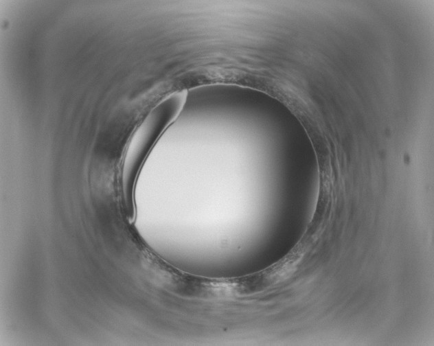 X0000059850233200511181546