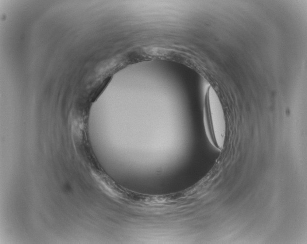 X0000059850235200511181546