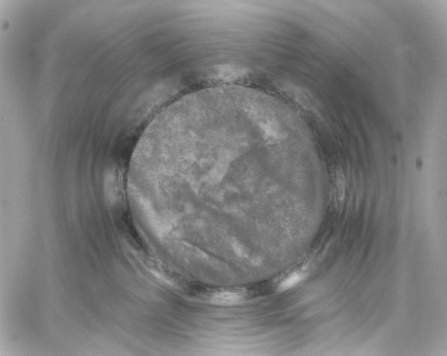 X0000059850236200511181546