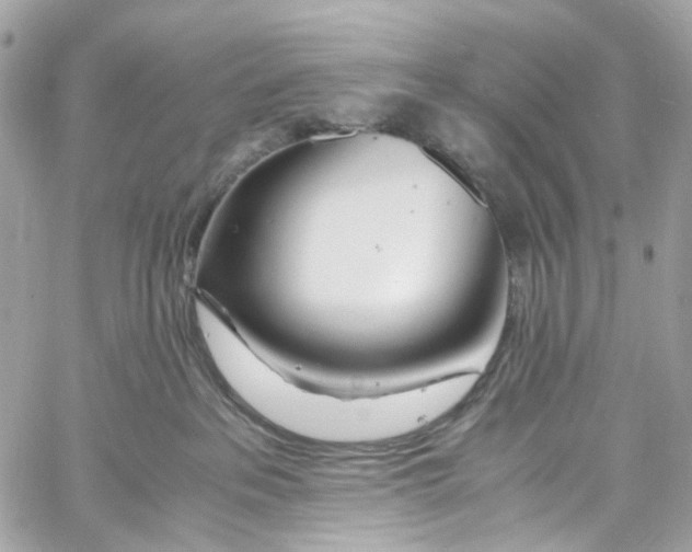 X0000059850237200511181546