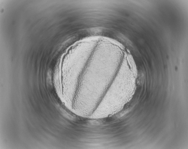 X0000059850238200511181546