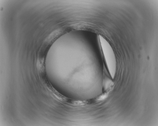 X0000059850239200511181546