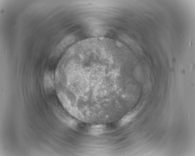 X0000059850240200511181546