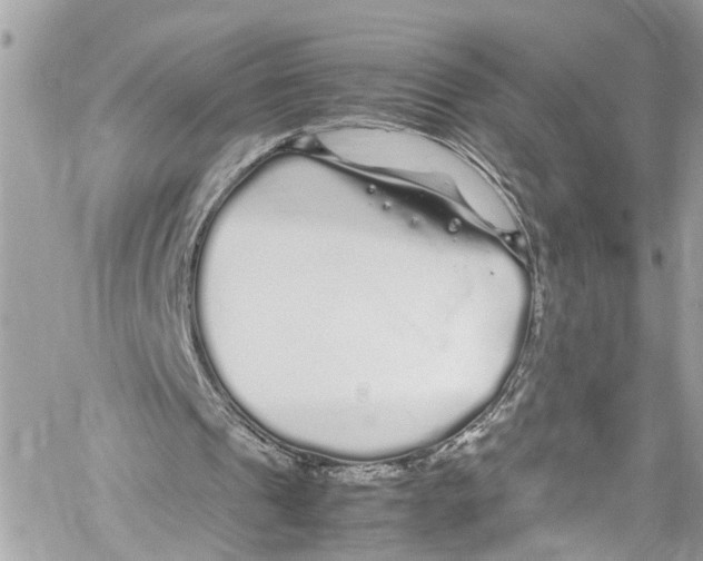 X0000059850241200511181545