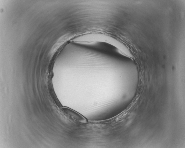 X0000059850242200511181545