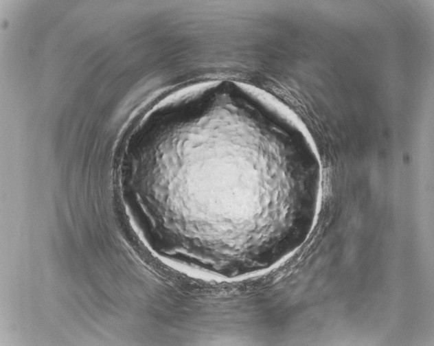 X0000059850243200511181545