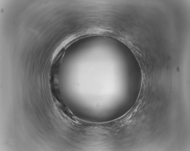 X0000059850244200511181545