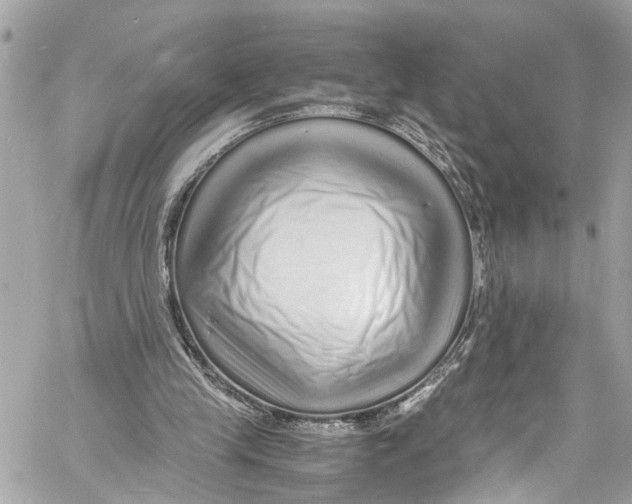 X0000059850245200511181545