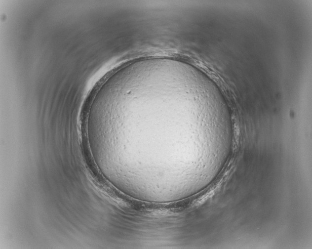 X0000059850246200511181545