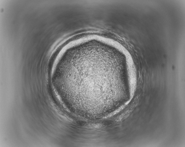 X0000059850247200511181545