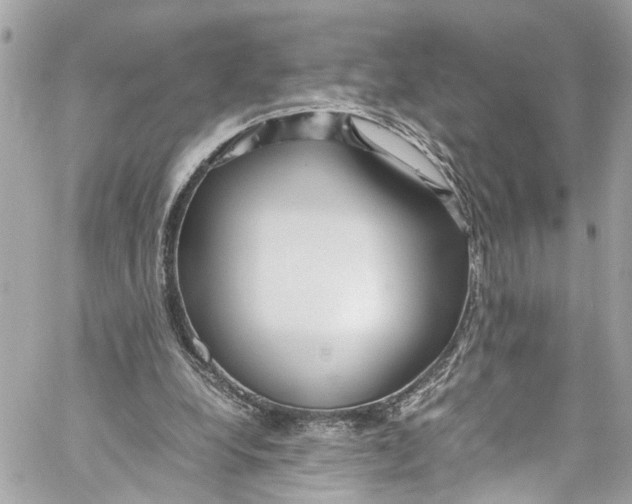 X0000059850248200511181545