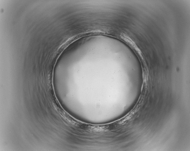 X0000059850249200511181545