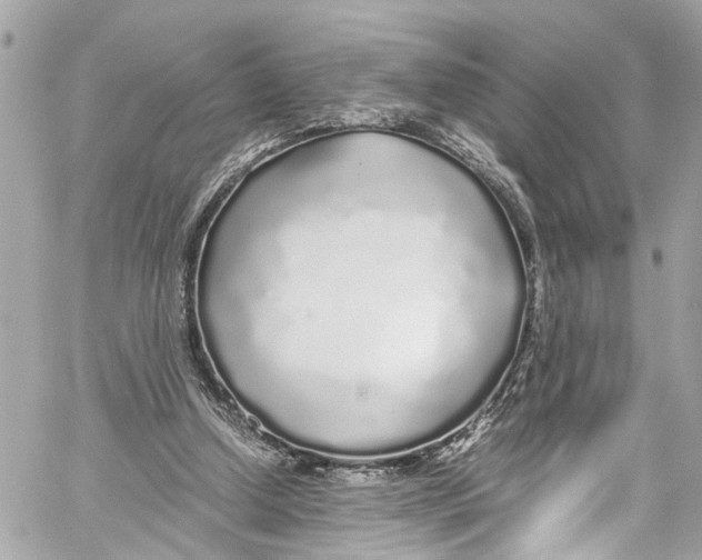 X0000059850250200511181545