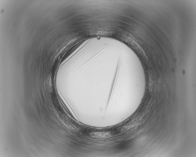 X0000059850251200511181545