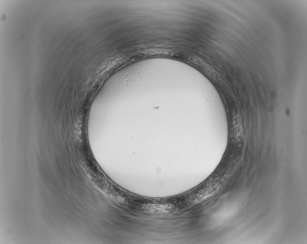 X0000059850255200511181545