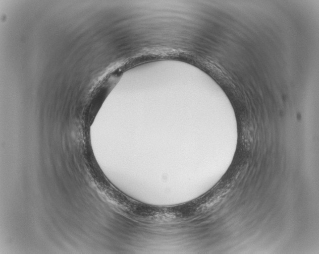 X0000059850256200511181546