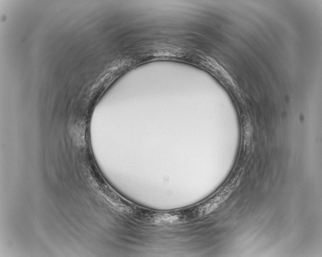 X0000059850257200511181546