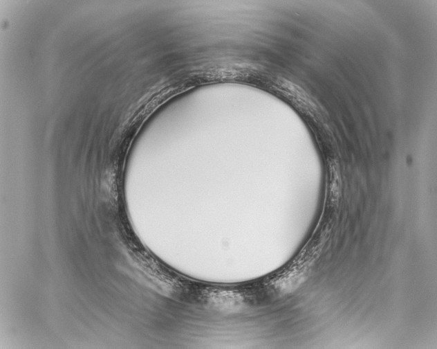 X0000059850258200511181546