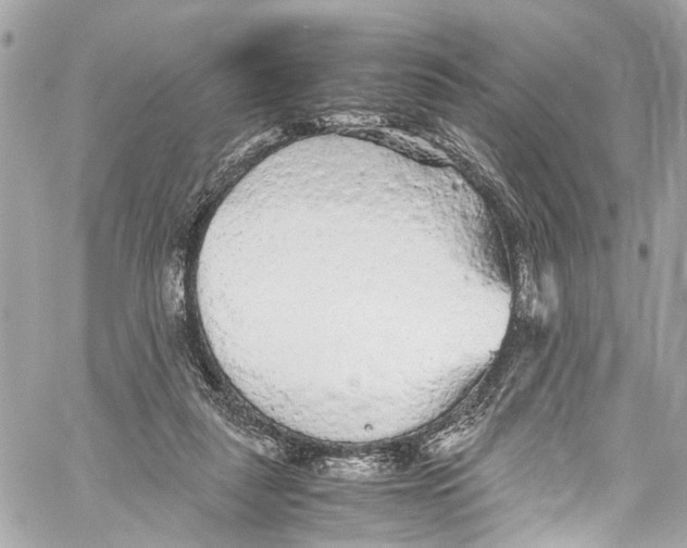 X0000059850259200511181546