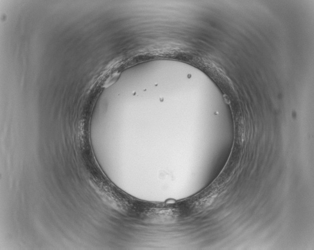 X0000059850260200511181546