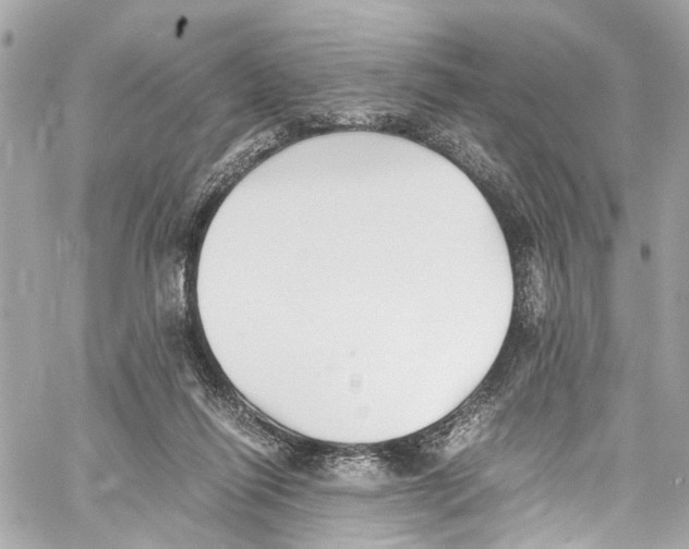 X0000059850262200511181546