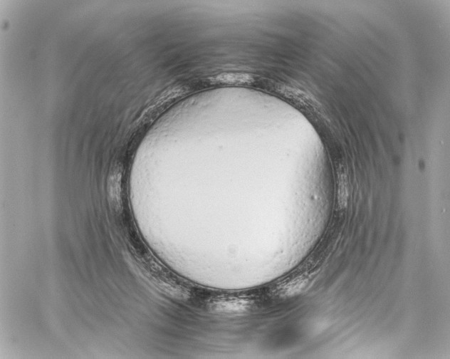 X0000059850263200511181546