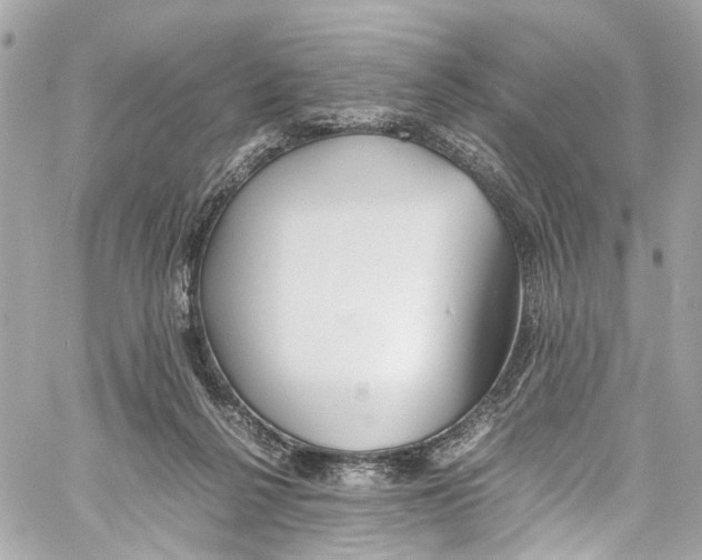 X0000059850264200511181546