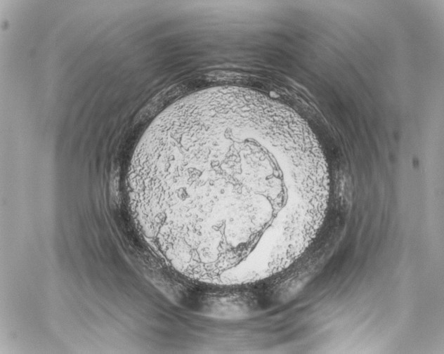 X0000059850267200511181546