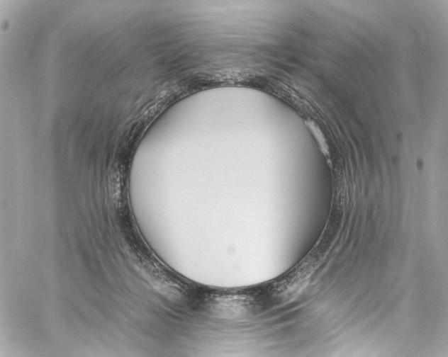 X0000059850268200511181546