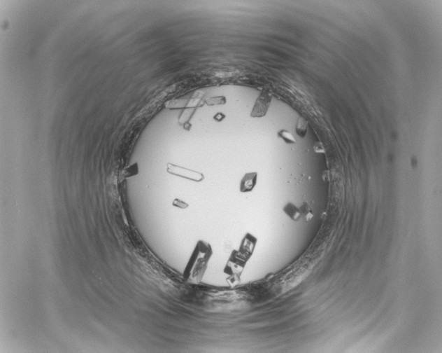 X0000059850269200511181546