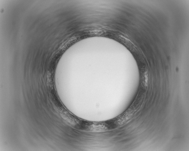 X0000059850270200511181546