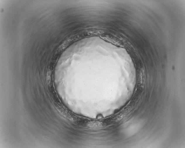 X0000059850271200511181546