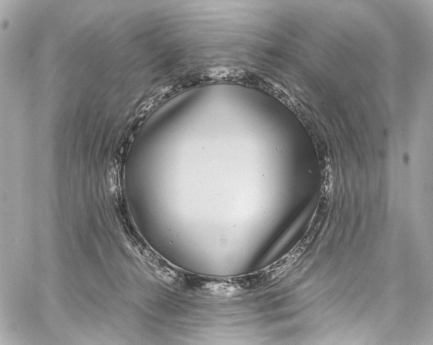 X0000059850272200511181546