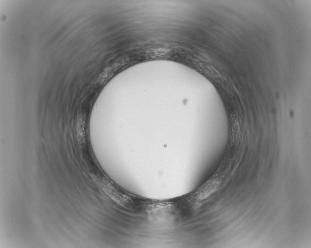 X0000059850274200511181546