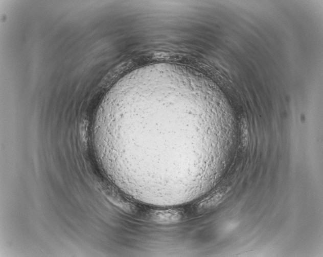 X0000059850275200511181546