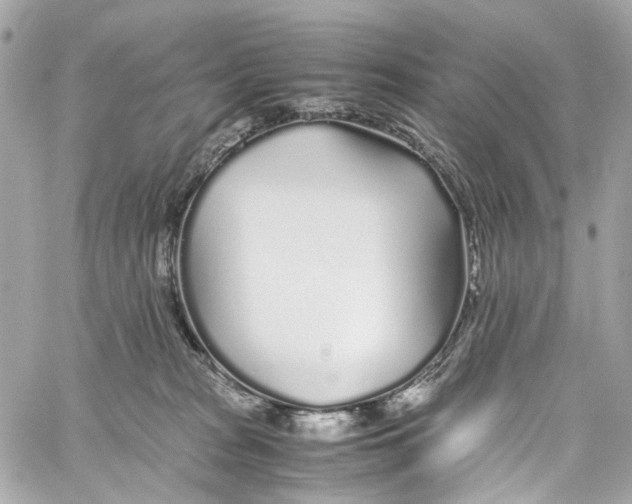 X0000059850277200511181546