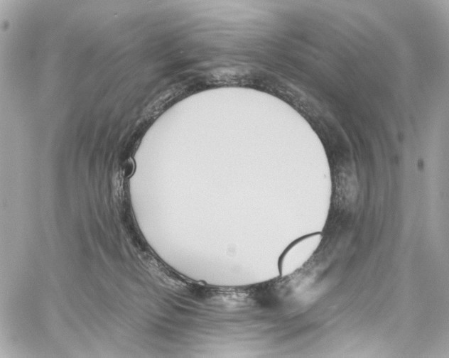 X0000059850278200511181546