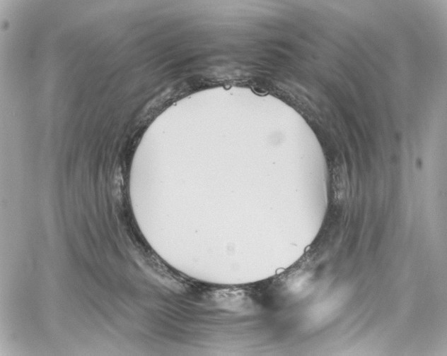 X0000059850279200511181546