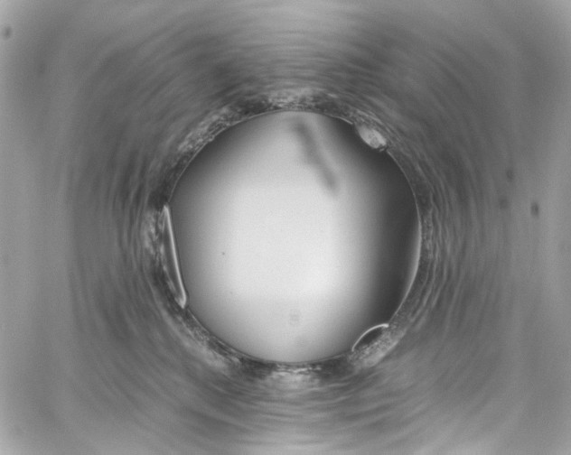 X0000059850280200511181546