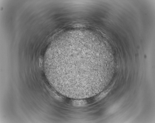 X0000059850281200511181546