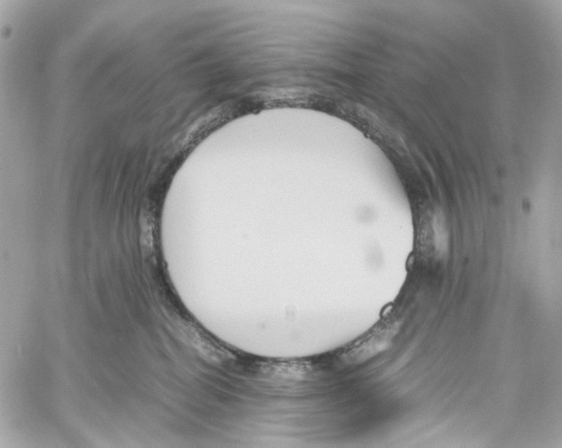 X0000059850282200511181546