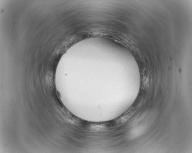 X0000059850283200511181546