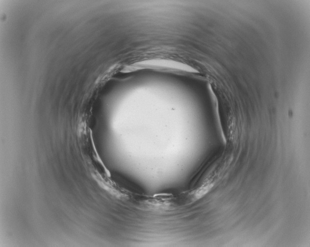 X0000059850284200511181546