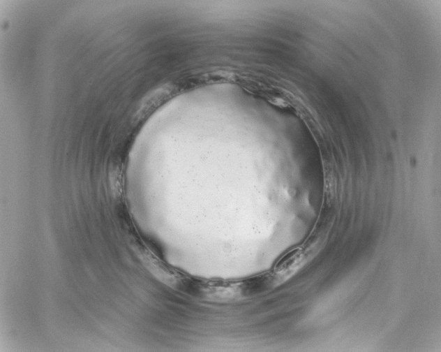 X0000059850285200511181546