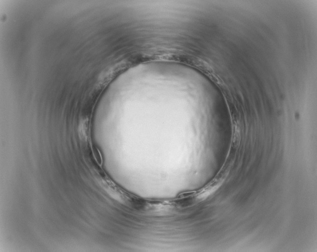 X0000059850286200511181546