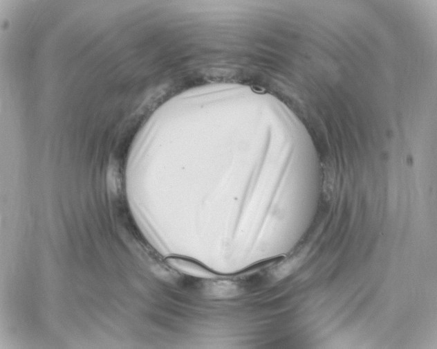 X0000059850287200511181546